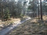Pannenkoekenmolenloop 2016 - 72.jpg